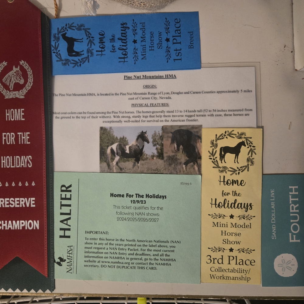 Mini Model Horse Show Awards Collection